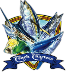 Captain Conch Charters