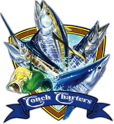Captain Conch Charters logo